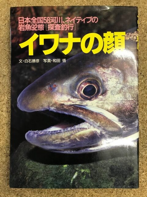 イワナの顔　釣り　渓流釣り